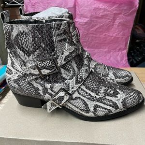 Jane and the Shoe Ankle Boots